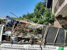 Best Moving and Downsizing Cleanouts  in Frenchtown, NJ